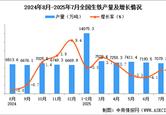 2025年7月全国生铁产量数据统计分析