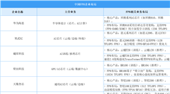 2025年中國(guó)FP8主要參與企業(yè)類型及企業(yè)布局分析（圖）