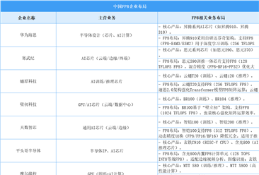 2025年中國FP8主要參與企業(yè)類型及企業(yè)布局分析（圖）