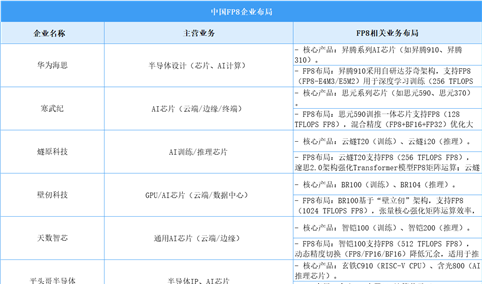 2025年中国FP8主要参与企业类型及企业布局分析（图）
