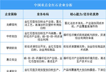 2025年中国金红石重点企业业务布局分析（图）
