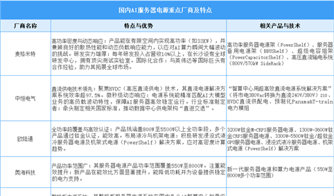 2025年中国AI服务器电源重点企业布局及行业发展前景预测分析（图）