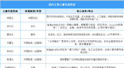 2025年中國云計算市場規(guī)模預(yù)測及重點云服務(wù)提供商分析（圖）