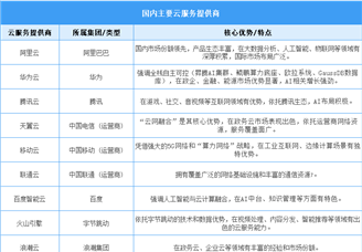 2025年中國(guó)云計(jì)算市場(chǎng)規(guī)模預(yù)測(cè)及重點(diǎn)云服務(wù)提供商分析（圖）