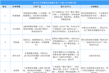 2025年中国视觉传感器行业十大潜力企业排行榜（附榜单）