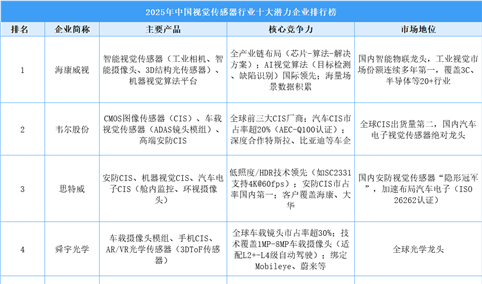 2025年中国视觉传感器行业十大潜力企业排行榜（附榜单）