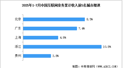 2025年1-7月中國互聯(lián)網(wǎng)行業(yè)分地區(qū)收入分析（圖）