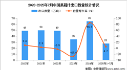 2025年1-7月中國果蔬汁出口數(shù)據(jù)統(tǒng)計分析：出口量同比增長4.7%