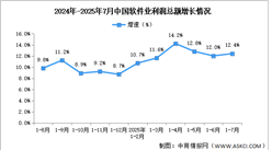 2025年1-7月中國軟件業(yè)務(wù)收入及利潤增速分析（圖）