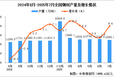 2025年7月全国钢材产量数据统计分析