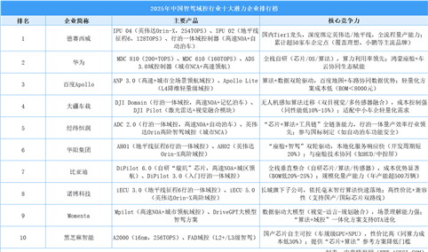 2025年中国智驾域控行业十大潜力企业排行榜（附榜单）