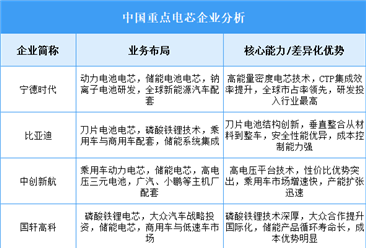 2025年中国电芯重点企业业务布局分析（图）