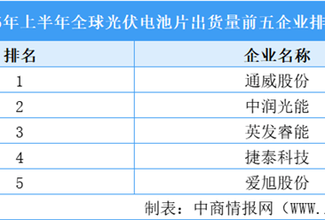 2025年上半年全球光伏電池片出貨量前五企業(yè)排行榜（附榜單）