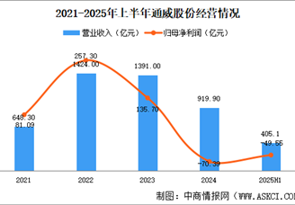2025年中國光伏電池片行業(yè)重點企業(yè)分析（圖）