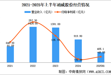 2025年中國(guó)光伏電池片行業(yè)重點(diǎn)企業(yè)分析（圖）