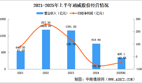 2025年中国光伏电池片行业重点企业分析（图）