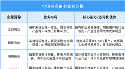 2025年中國銅材重點(diǎn)企業(yè)業(yè)務(wù)布局分析（圖）