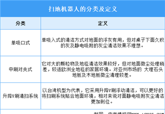 2025年中國掃地機(jī)器人行業(yè)市場前景預(yù)測研究報告（簡版）