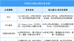 2025年中國(guó)核心網(wǎng)重點(diǎn)企業(yè)業(yè)務(wù)布局分析（圖）