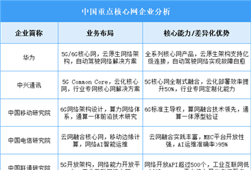 2025年中國核心網(wǎng)重點企業(yè)業(yè)務(wù)布局分析（圖）