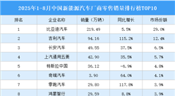 2025年1-8月中國(guó)新能源汽車廠商零售銷量排行榜TOP10（附榜單）