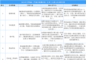 2025年中國DMS（駕駛員監(jiān)測系統(tǒng)）行業(yè)十大潛力企業(yè)排行榜（附榜單）