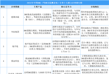 2025年中国DMS（驾驶员监测系统）行业十大潜力企业排行榜（附榜单）
