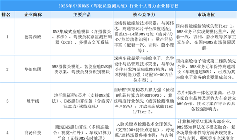 2025年中国DMS（驾驶员监测系统）行业十大潜力企业排行榜（附榜单）