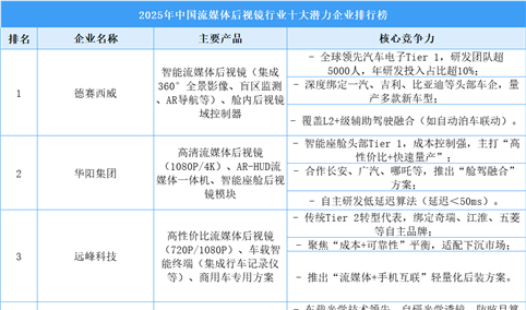 2025年中国流媒体后视镜行业十大潜力企业排行榜（附榜单）