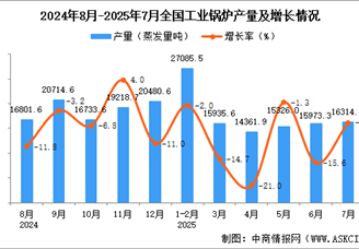 2025年7月全国工业锅炉产量数据统计分析