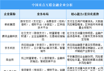 2025年中国互联金融重点企业业务布局分析（图）