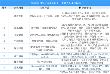 2025年中国光伏电池片行业十大潜力企业排行榜（附榜单）