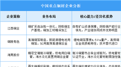 2025年中國銅材重點(diǎn)企業(yè)業(yè)務(wù)布局分析（圖）