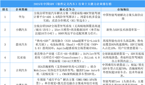 2025年中国SDV（软件定义汽车）行业十大潜力企业排行榜（附榜单）