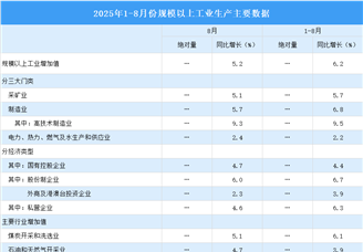 2025年8月中國規(guī)上工業(yè)增加值增長5.2% 制造業(yè)增長5.7%（圖）