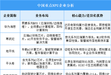 2025年中國NPU重點企業(yè)業(yè)務布局分析（圖）
