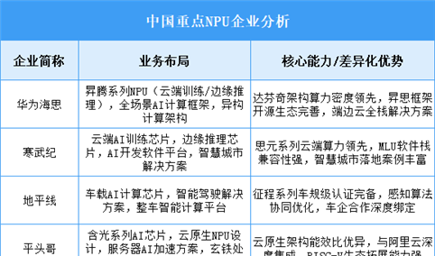 2025年中国NPU重点企业业务布局分析（图）