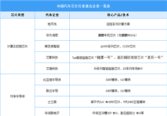 2025年中國(guó)汽車芯片市場(chǎng)現(xiàn)狀及行業(yè)發(fā)展前景預(yù)測(cè)分析（圖）