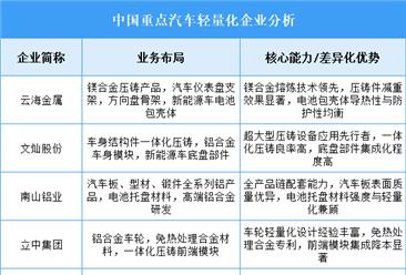 2025年中國汽車輕量化重點(diǎn)企業(yè)業(yè)務(wù)布局分析（圖）