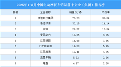 2025年1-8月中國電動(dòng)摩托車銷量前十企業(yè)（集團(tuán)）排行榜（附榜單）