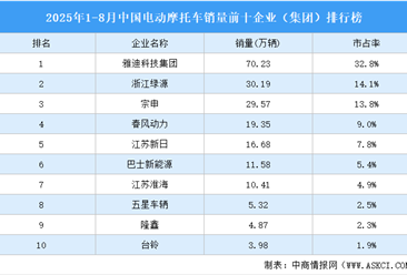 2025年1-8月中国电动摩托车销量前十企业（集团）排行榜（附榜单）