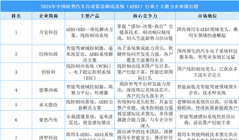 2025年中国轻型汽车自动紧急制动系统（AEBS）行业十大潜力企业排行榜（附榜单）