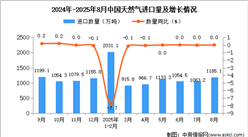 2025年8月中国天然气进口数据统计分析：进口量1185.1万吨