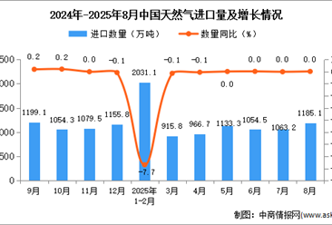 2025年8月中国天然气进口数据统计分析：进口量1185.1万吨