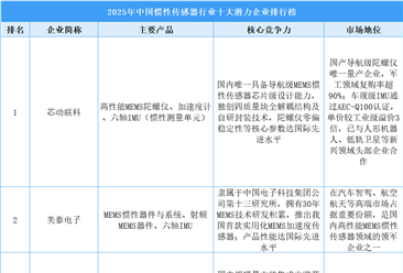 2025年中国惯性传感器行业十大潜力企业排行榜（附榜单）