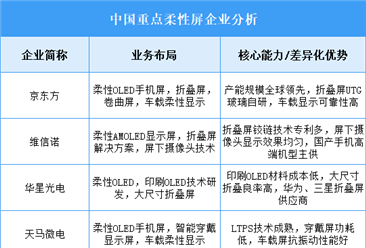 2025年中國柔性屏重點企業(yè)業(yè)務(wù)布局分析（圖）