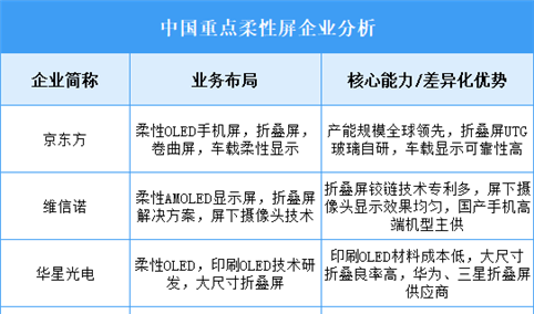 2025年中国柔性屏重点企业业务布局分析（图）