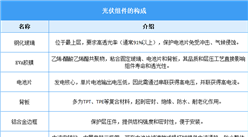 2025年中國光伏組件行業(yè)市場前景預(yù)測研究報(bào)告（簡版）