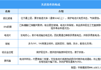 2025年中國光伏組件行業(yè)市場前景預測研究報告（簡版）