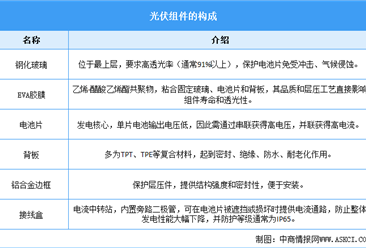 2025年中國光伏組件行業(yè)市場前景預(yù)測研究報(bào)告（簡版）